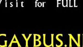 Gratifying blowjob with a homosexual - porn video