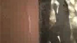 ploko partner - porn video