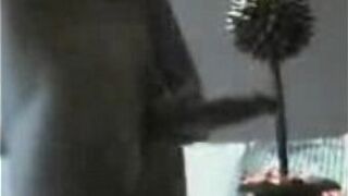 Morpheus stroking again - porn video