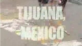 tjshorty gets some pussy - porn video