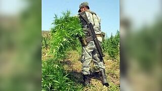 the street of the sirenas - porn video